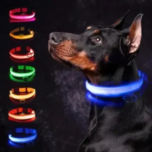 USB Rechargeable LED Dog Collar — Safety Glow-in-Dark Night Walking Collar | 4.9/5 — 7,800+ Bought